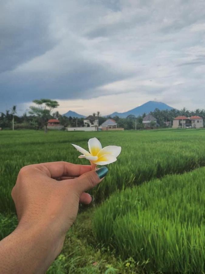 Svaha Ubud מראה חיצוני תמונה